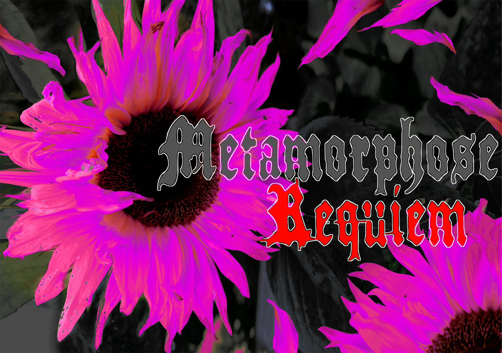 Metamorphose Requiem Font - 1001 Free Fonts