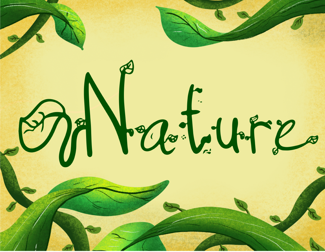 Oprigtighed himmelsk Afbestille Nature Font - 1001 Free Fonts